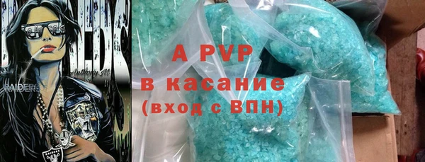 прущие грибы Пестово